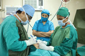 Siddhi Vinayak Hospital - Our Team